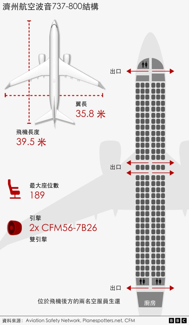 济州航空空难是否与鸟击有关？航空专家有话说