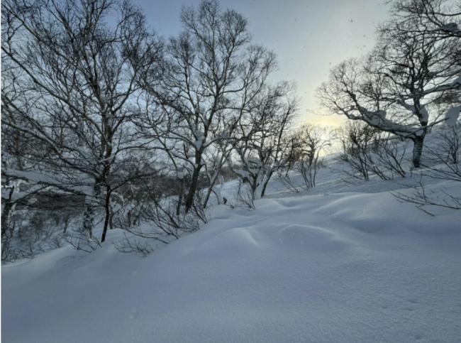 中国人日本滑雪死亡 网喊这“梦幻雪质”很危险