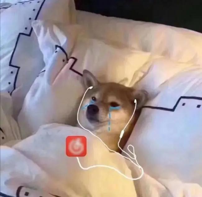 人生建议:千万不要相信睡前的大脑