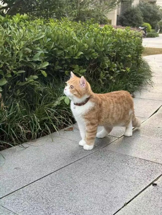 所有的心理问题都与自恋有关