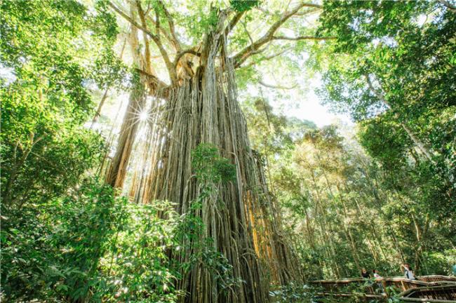 凯恩斯与大堡礁2025全新精彩体验 凯恩斯与大堡礁2025全新精彩体验