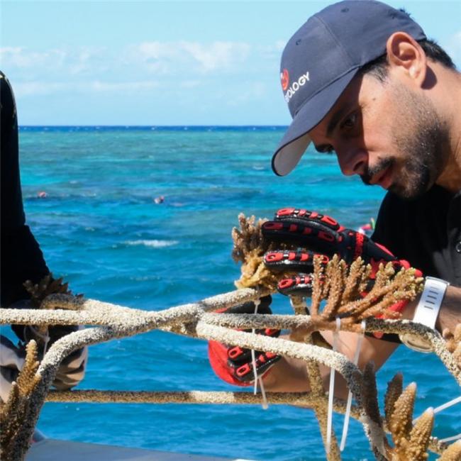 凯恩斯与大堡礁2025全新精彩体验 凯恩斯与大堡礁2025全新精彩体验