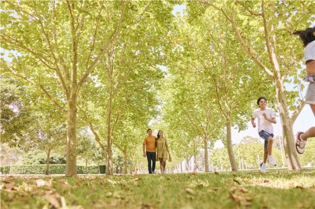 新州反季亲子游指南:拥抱热浪 盛夏不打烊 新州反季亲子游指南:拥抱热浪 盛夏不打烊