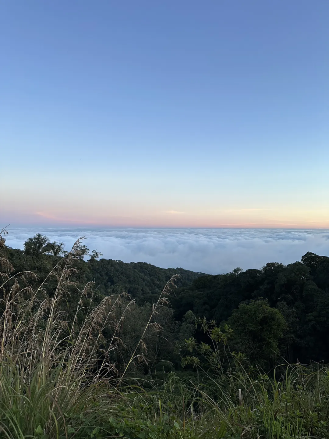 泰国危险吗？我带娃在泰国旅行两个月真实感受