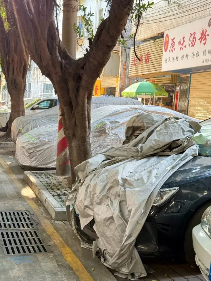 深圳“僵尸车”启动：闲置整年，只过年挣面子？