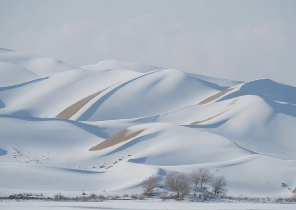 塔克拉玛干沙漠降雪 雾凇奇观美如画