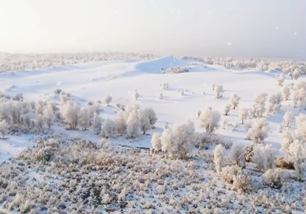 塔克拉玛干沙漠降雪 雾凇奇观美如画