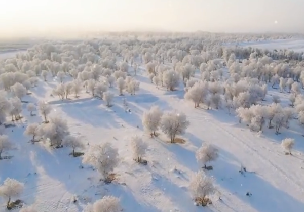 塔克拉玛干沙漠降雪 雾凇奇观美如画