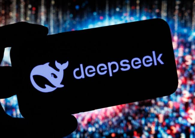 这国财长公开呼吁公民：须谨慎使用中国DeepSeek