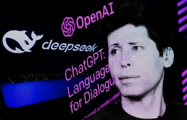 DeepSeek̫ҡ 鷳