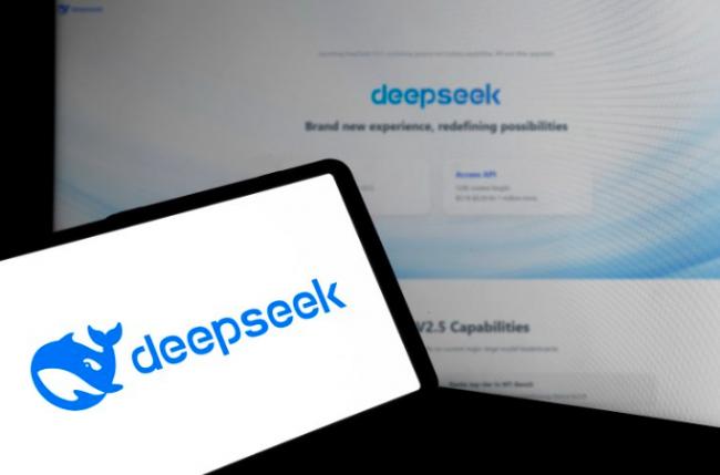 DeepSeek AIгһźš