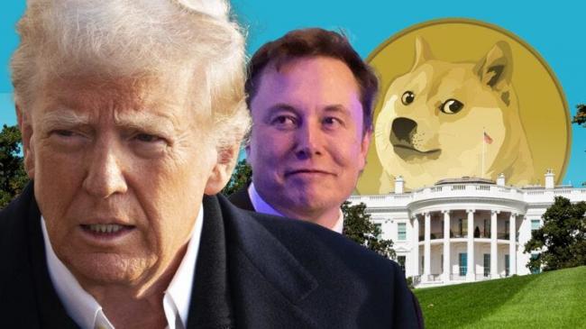 ַ֧ܣͬʱලMuskDOGE