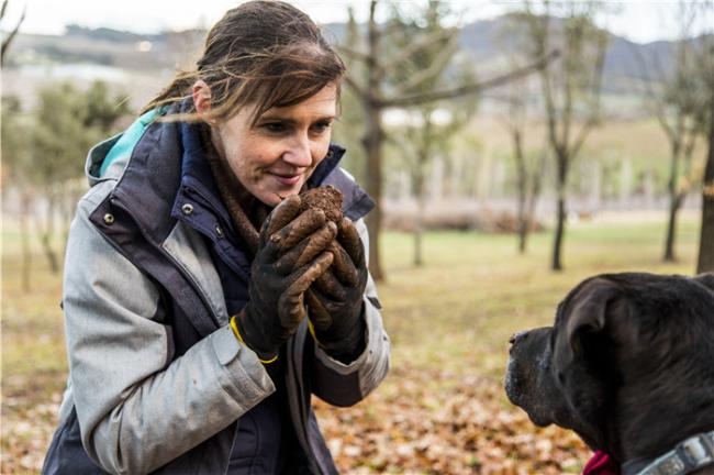 探寻黑金宝藏 松露奇遇之旅 探寻黑金宝藏 松露奇遇之旅
