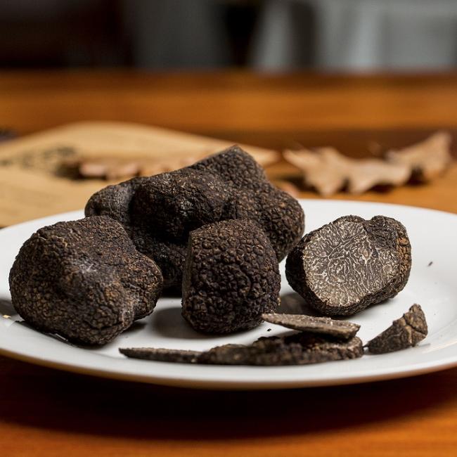 探寻黑金宝藏 松露奇遇之旅 探寻黑金宝藏 松露奇遇之旅