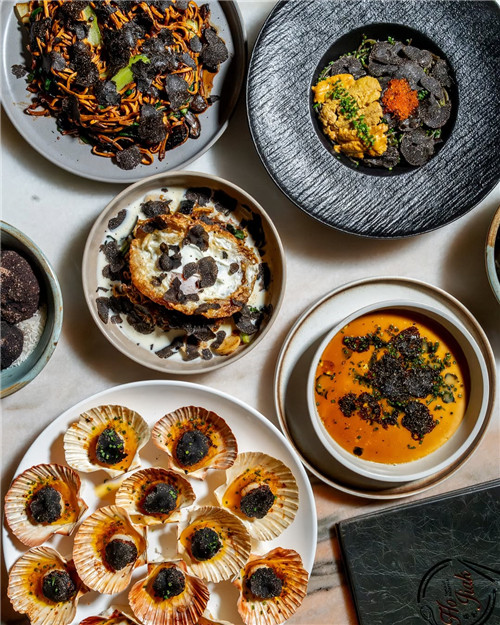 探寻黑金宝藏 松露奇遇之旅 探寻黑金宝藏 松露奇遇之旅