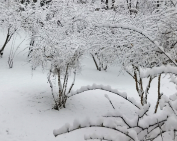 大暴雪未停!济南20小时下“387个大明湖” 大暴雪未停!济南20小时下“387个大明湖”