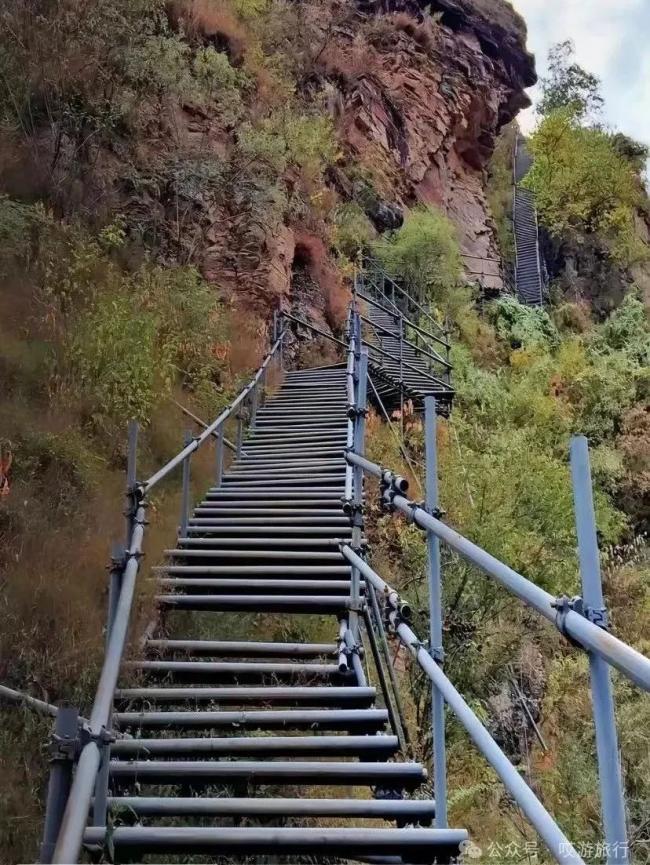 �й�����Ȣϱ���Ĵ��� �����񶼷ɲ�ȥ��������