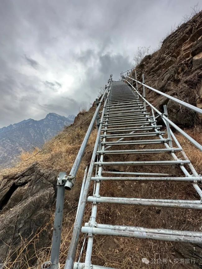 �й�����Ȣϱ���Ĵ��� �����񶼷ɲ�ȥ��������