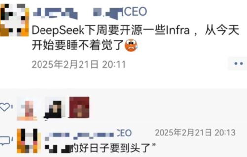 发文戳破DeepSeek假面 中国知名AI企业遭网暴