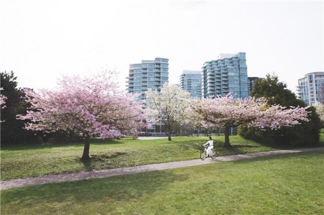 春意绽放 共赴BC省山海画卷 春意绽放 共赴BC省山海画卷