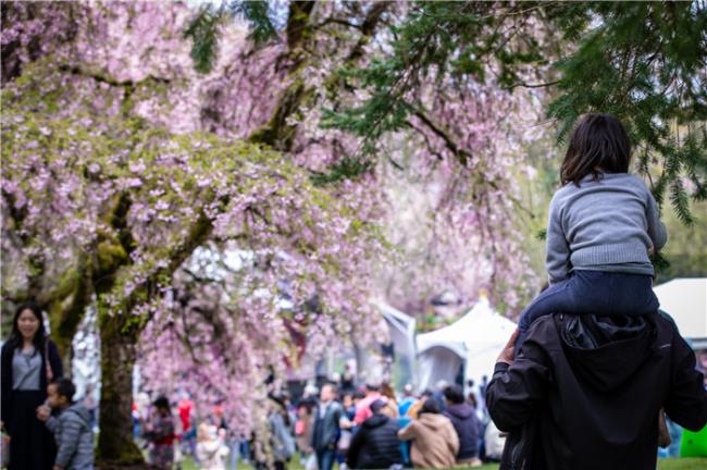 春意绽放 共赴BC省山海画卷 春意绽放 共赴BC省山海画卷