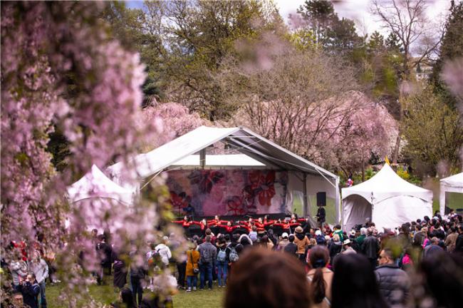春意绽放 共赴BC省山海画卷 春意绽放 共赴BC省山海画卷