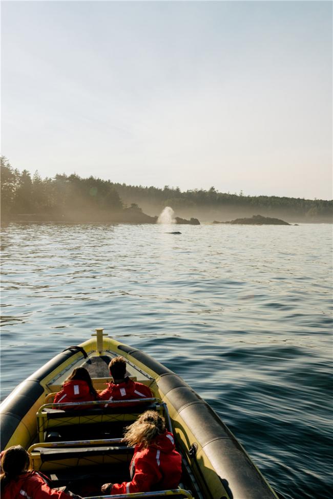 春意绽放 共赴BC省山海画卷 春意绽放 共赴BC省山海画卷