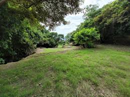 女子野外拍照不慎划伤 几天后去世 女子野外拍照不慎划伤 几天后去世