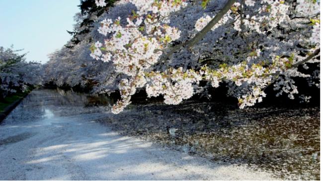 大地震前兆？日本青森多地惊传神秘地鸣