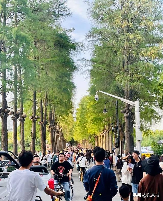 五一最惨十景区：泰山简直要命 第一太太过分