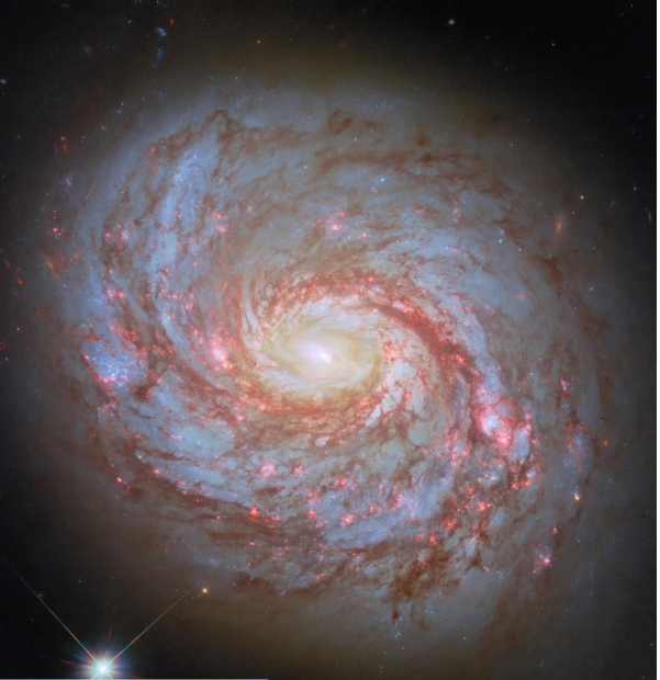 一条旋臂伸向地球  NASA公布特殊星系