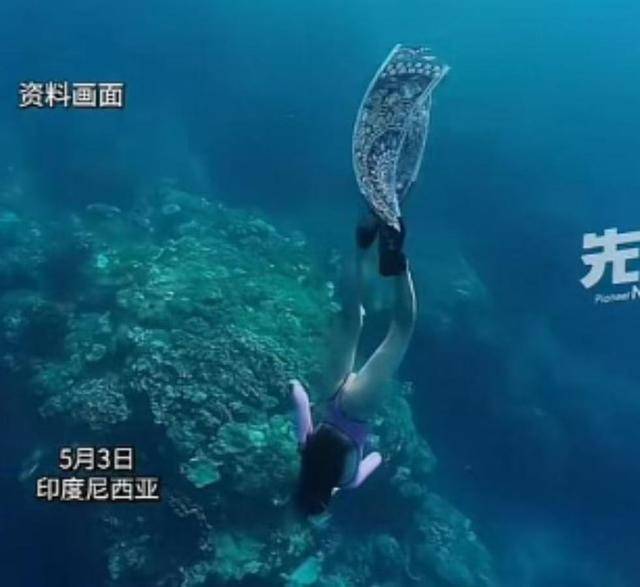中国女网红印尼溺亡后续 竟是专业潜导