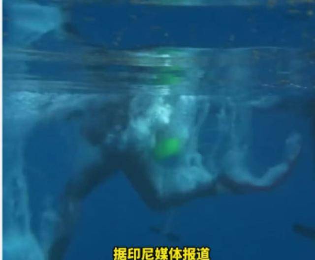 中国女网红印尼溺亡后续 竟是专业潜导