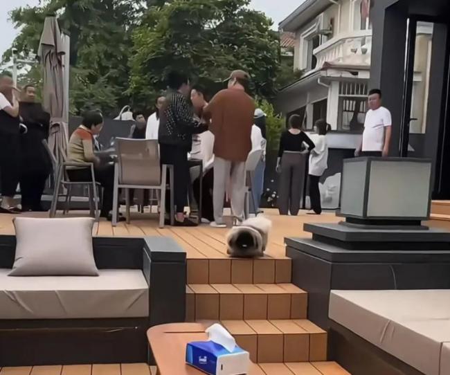 汪小菲婚房曝光！院子超大装修豪华，曝婚礼菜单
