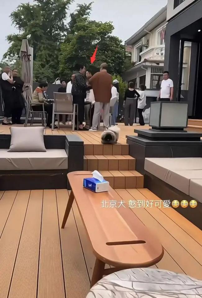 汪小菲婚房曝光！院子超大装修豪华，曝婚礼菜单