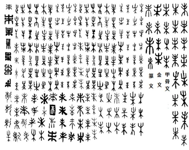 Picture14.png