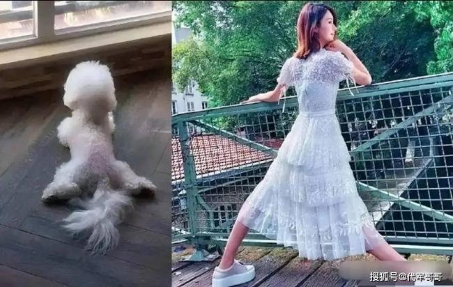 烫粉色头发，公开爆粗口，赵丽颖怎么了？