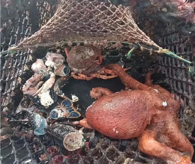 ǧ顱 Ѫ޹