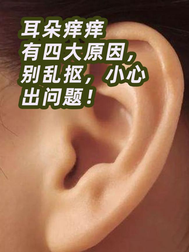 耳朵总是痒却啥也掏不出来?可能暗示这4种问题 耳朵总是痒却啥也掏不出来?可能暗示这4种问题