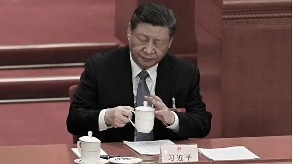 习动手术?四中全会存变局