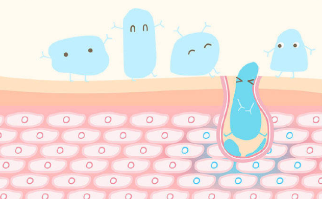 皮肤吸收力差 如何改善? 皮肤吸收力差 如何改善?