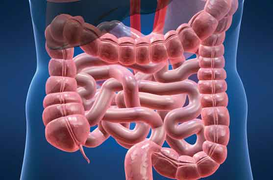 40岁是个坎?这种富贵病的“警报”其实早已拉响 40岁是个坎?这种富贵病的“警报”其实早已拉响