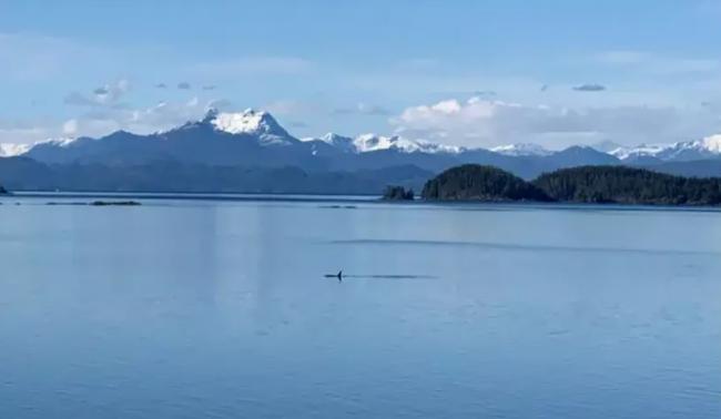 森林边的百年木桥小镇 被誉为加拿大最美渔村之一 森林边的百年木桥小镇 被誉为加拿大最美渔村之一