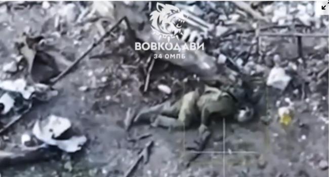 前线缺兵怎么办? 普京展开“全球招兵” 前线缺兵怎么办? 普京展开“全球招兵”