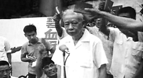 这本书戳毛心窝  是压垮刘少奇的最后一根稻草