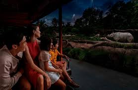 一次轻松的新加坡亲子旅行体验 一次轻松的新加坡亲子旅行体验