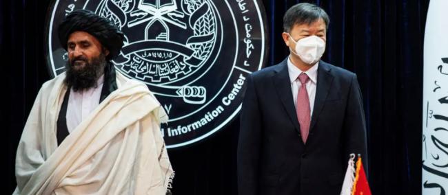 谁的错？美媒曝塔利班与中国石油协议破裂内幕