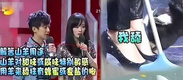 章子怡又惹上麻烦！一条悼文， 被网民定罪