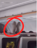 中国大妈又丢脸 飞机上闹事 下场惨了