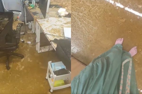 杭州高校粪管爆炸!女大生“全身变咖啡色”大哭